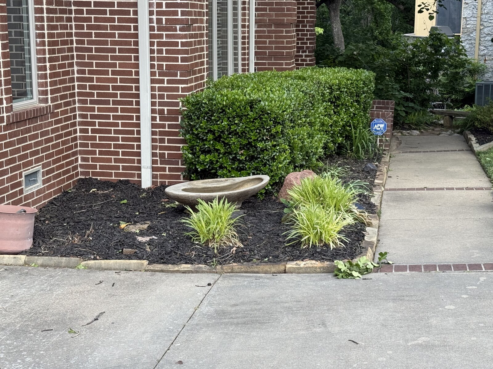 Mulch bed after 2