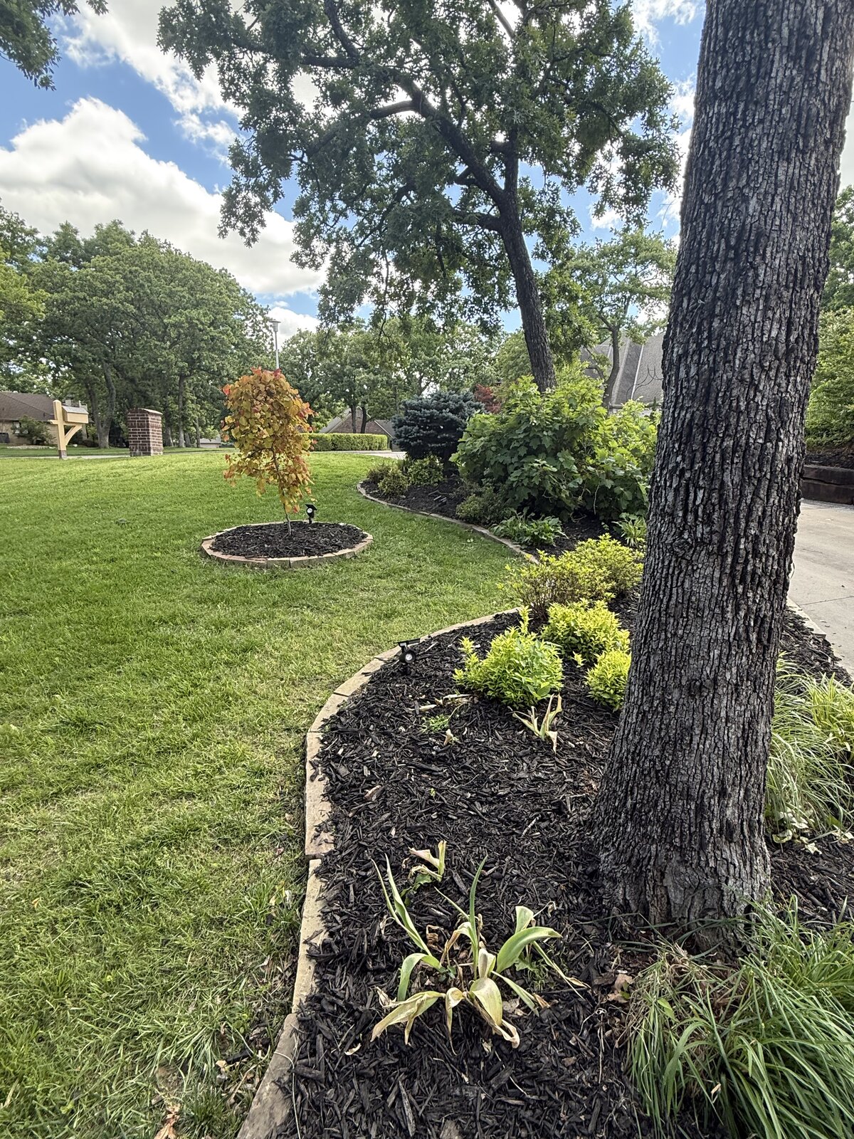 Mulch bed after 3