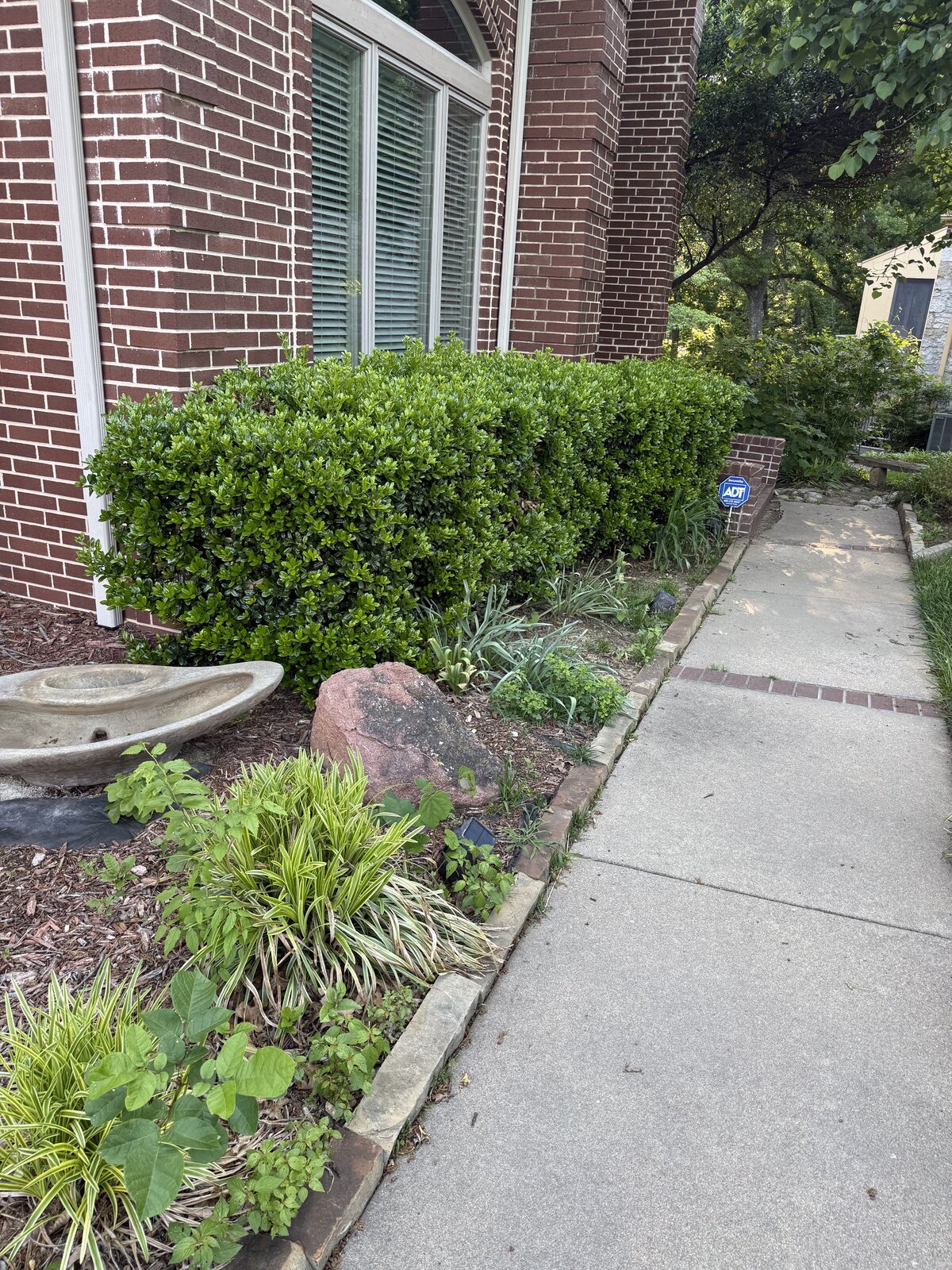 Mulch bed before 2